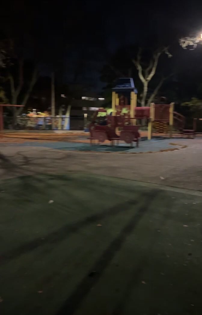 nighttime playground flashing