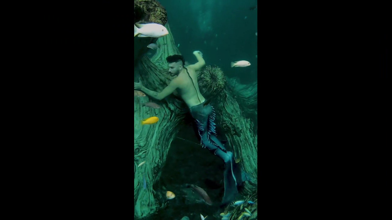 Action merman underwater