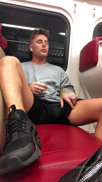 Pornstar on a train
