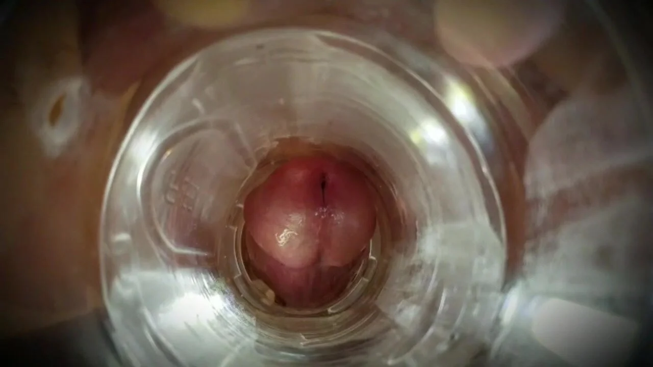 Fleshlight inside view
