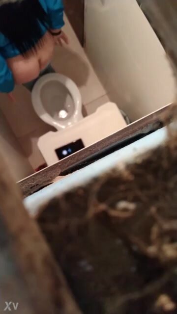 toilet spying - video 3
