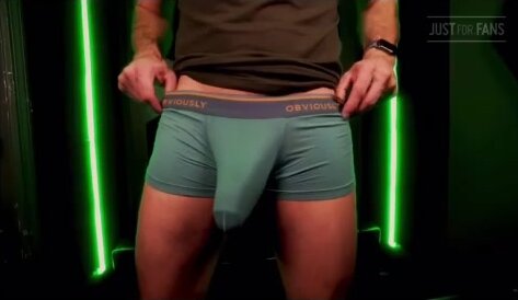 Trainer - Obey Commands for The Bulge