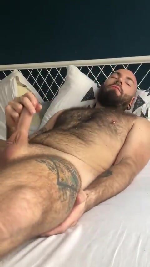 Hot bear cums on hairy chestt
