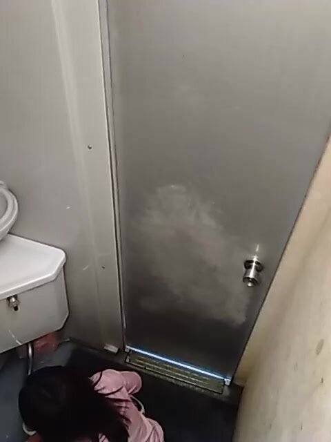 outdoor toilet 1 - video 2