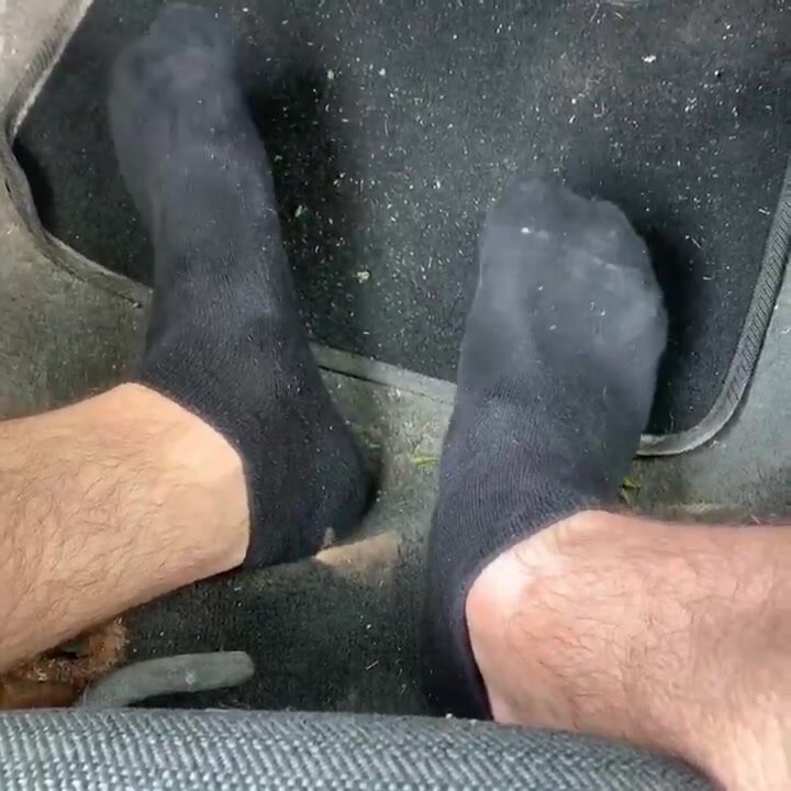 Socks in the Car