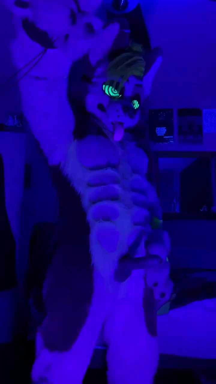 Fursuit Hypno