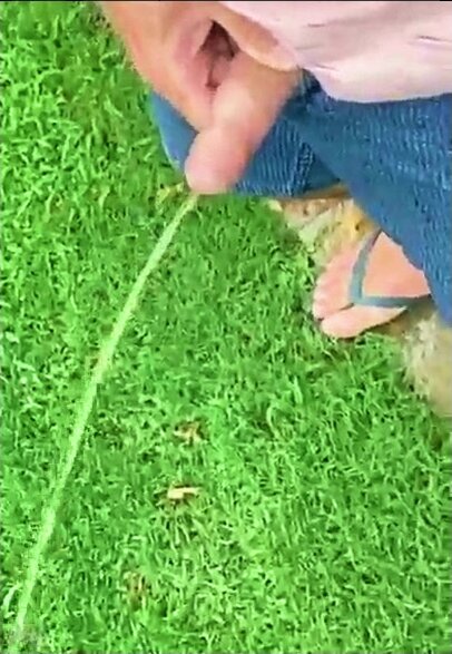 Friend peeing in flip flops