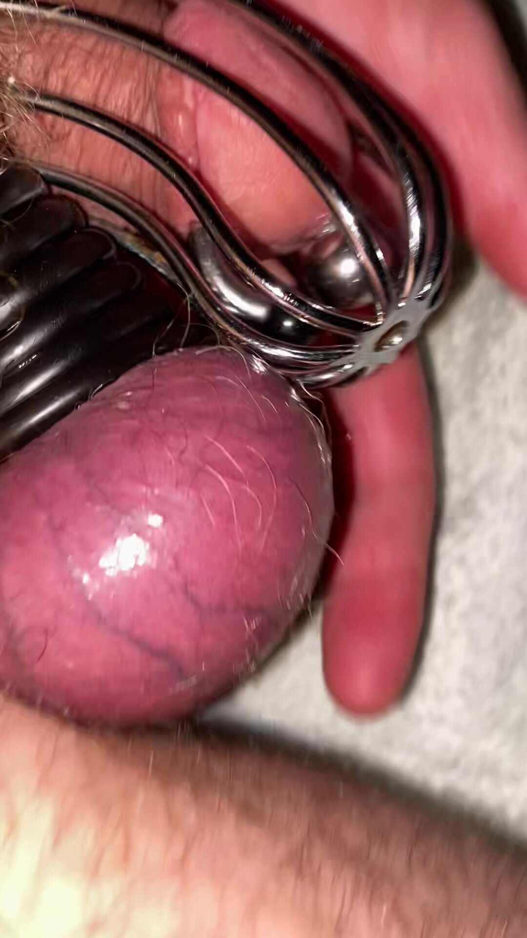 Playing with my cage 3 (no cum)