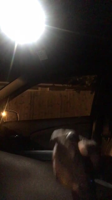 Caught jerking of in car
