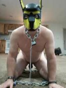 pup in chains