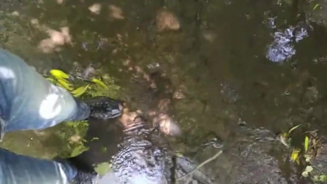 Muddy stream 1