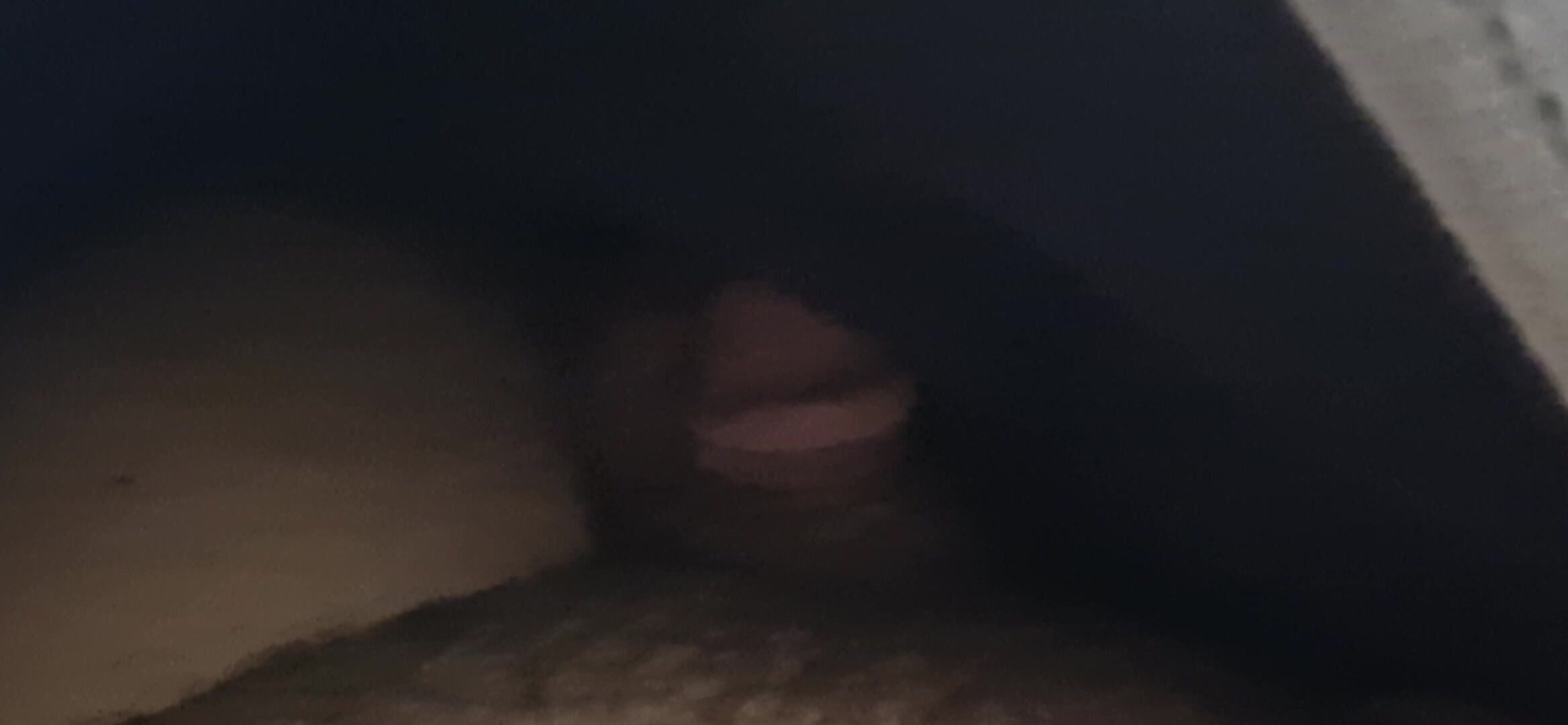 Small willy