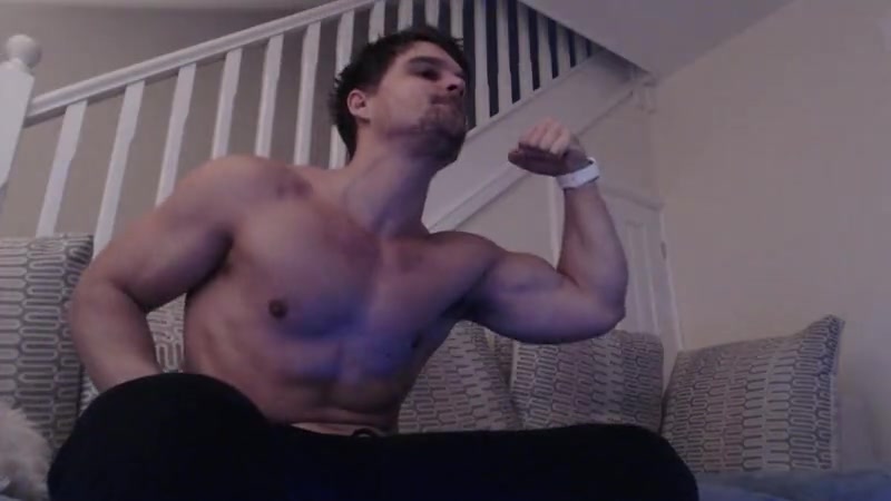 British Alpha Stud
