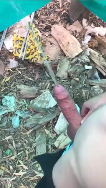 (not me) another white uncut dick pissing like a hose