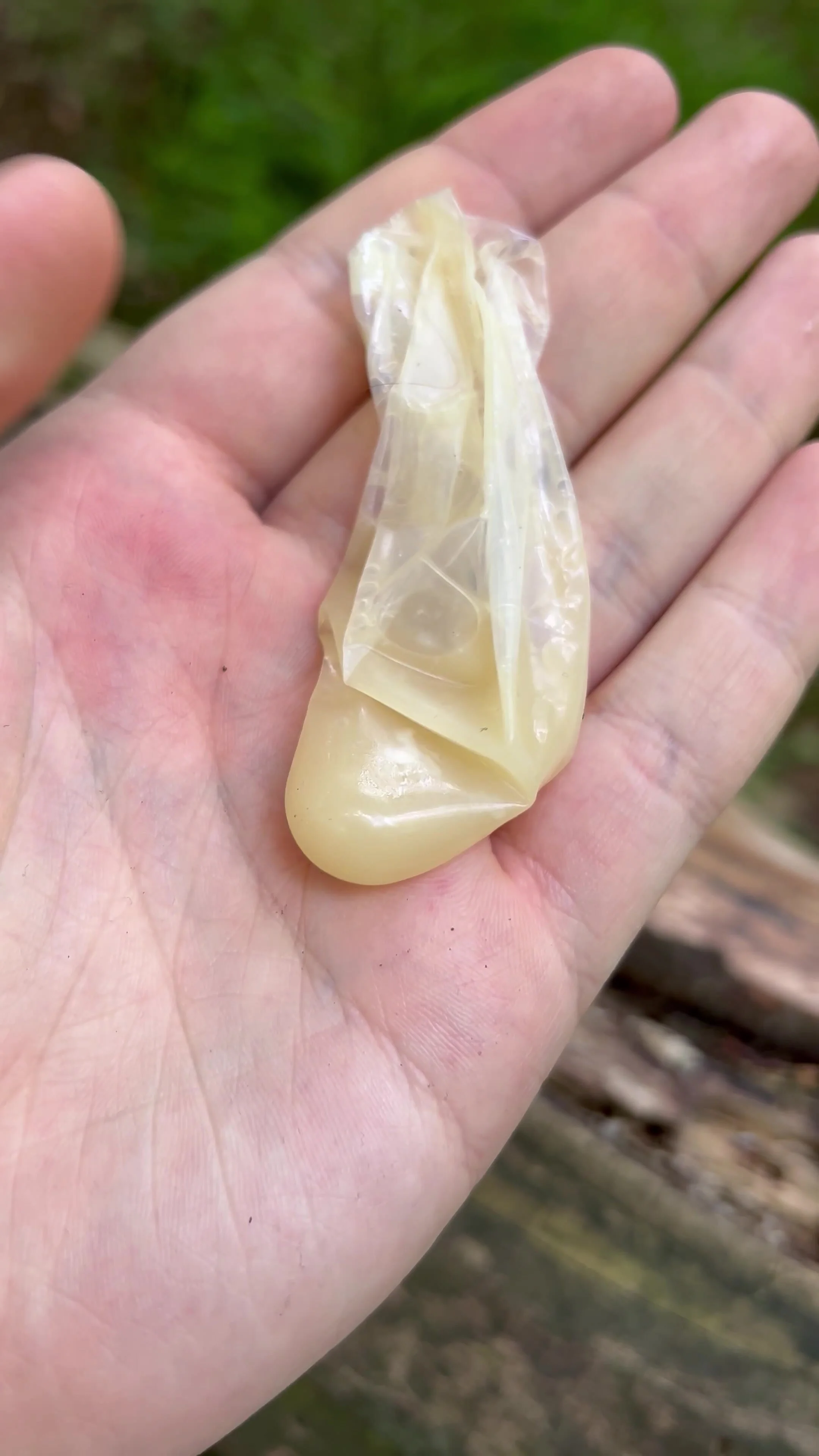 Video: Used condom in forest - ThisVid.com