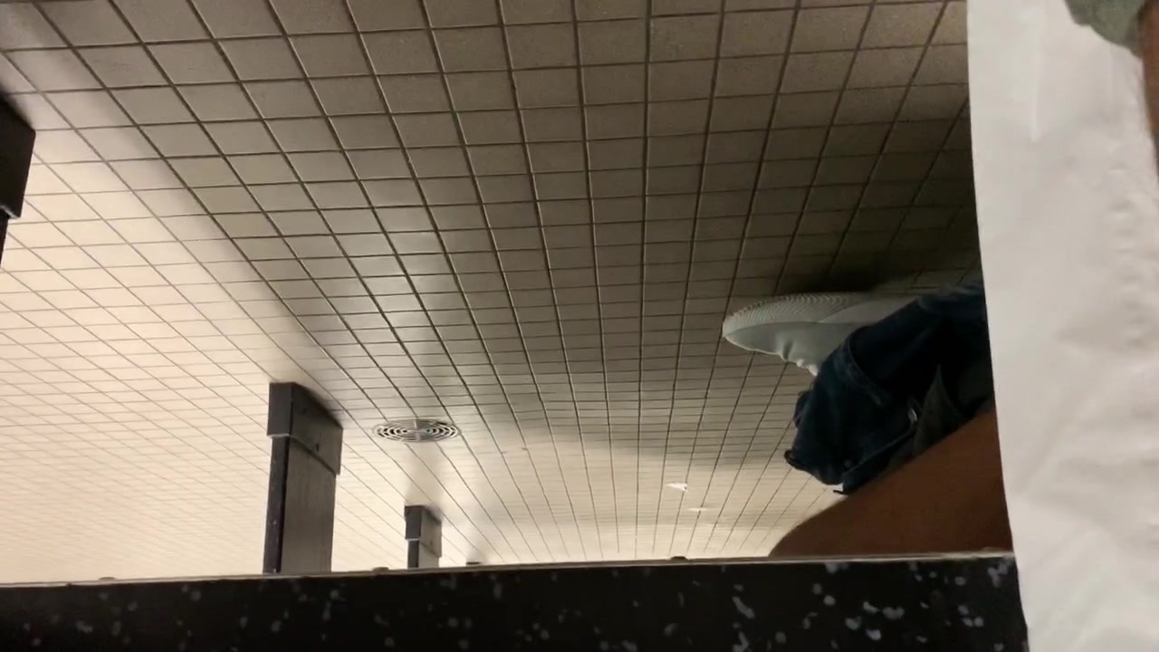 Curious Neighbor - video 2