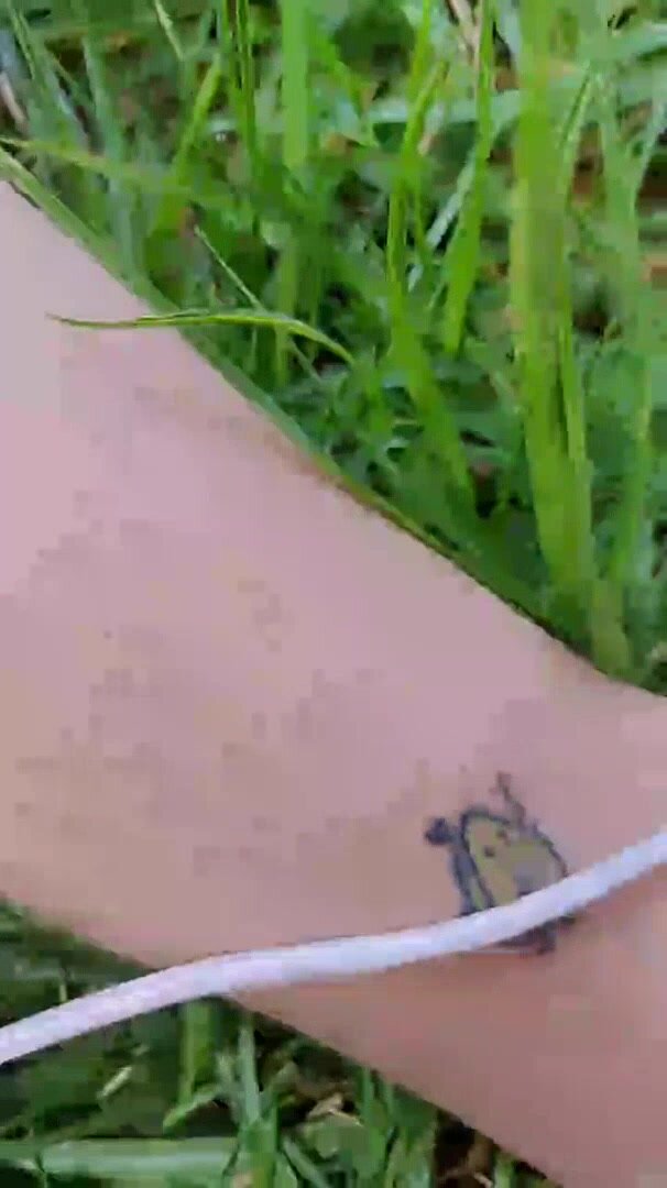 Camgirl pissing in the grass