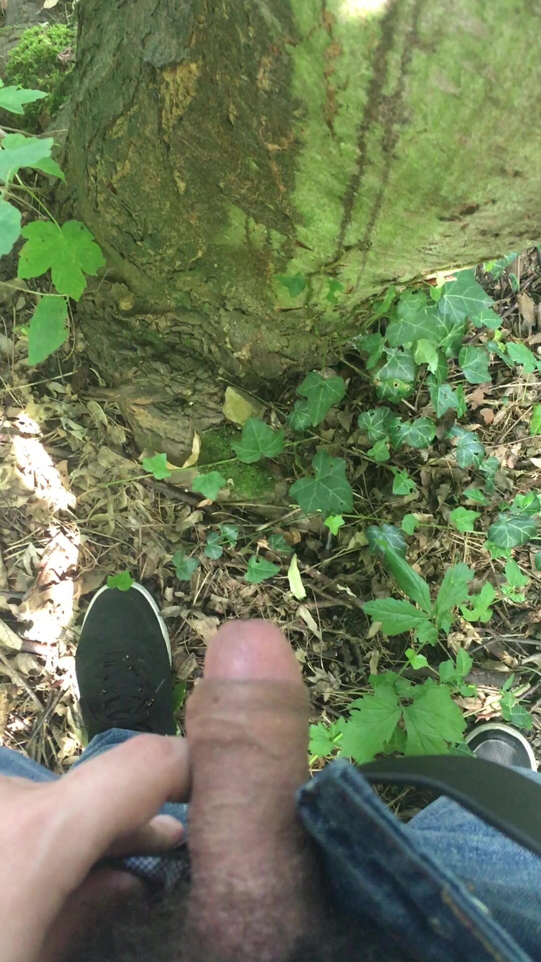 Piss on a thick tree