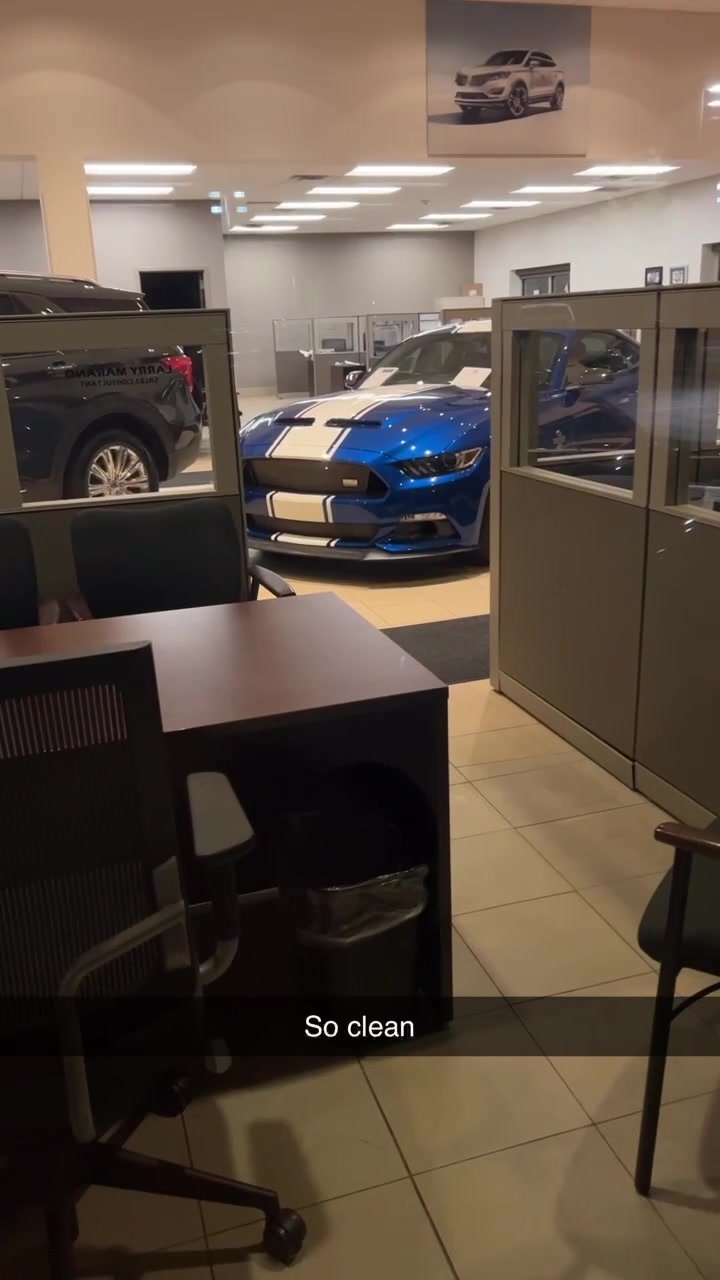Mustang - video 2