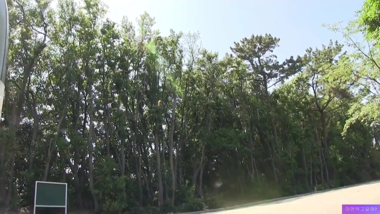 Hot Asian - video 18