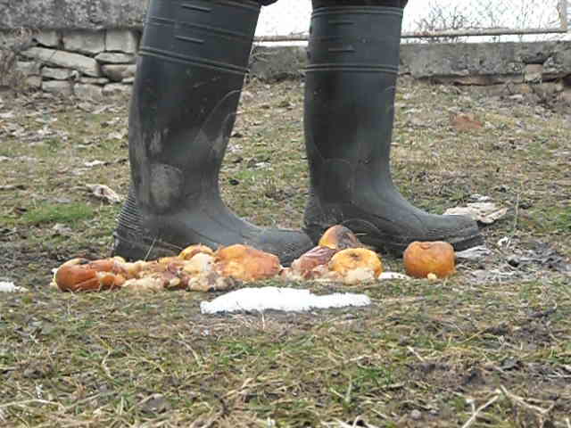 Rubber boots vs fruits - video 2
