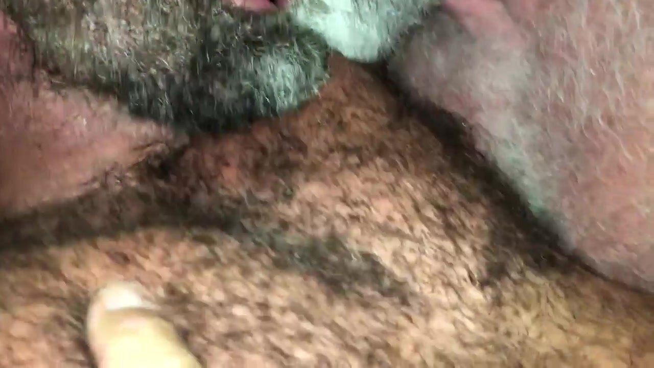 Woof. Kissing bears