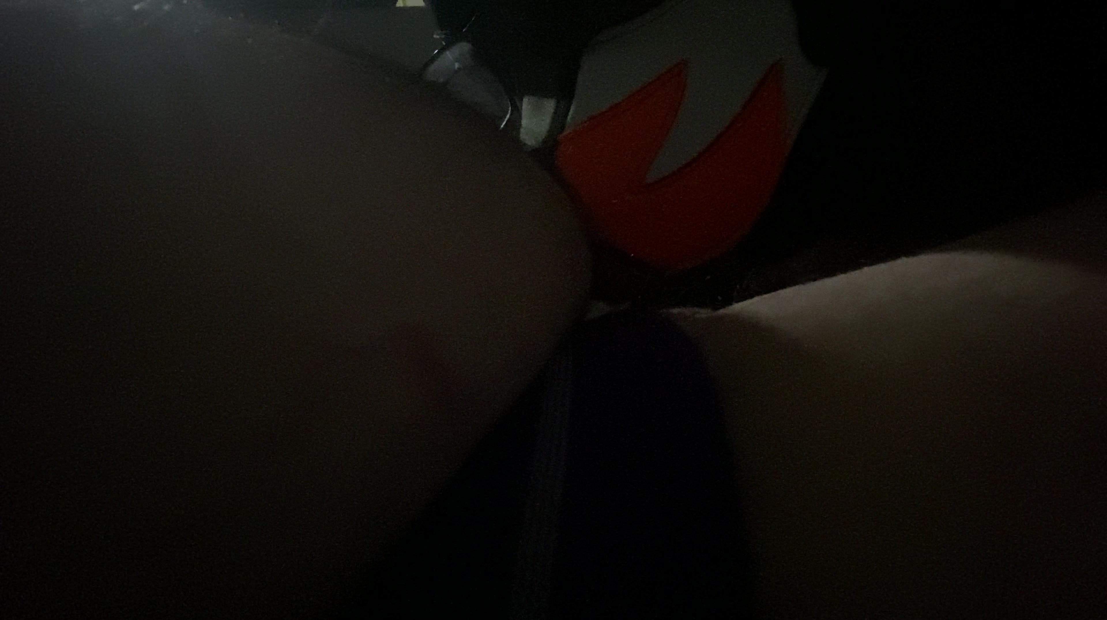 puppy sucking (no cum)