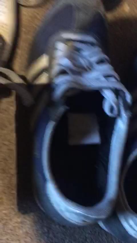 Sniff my Trainers