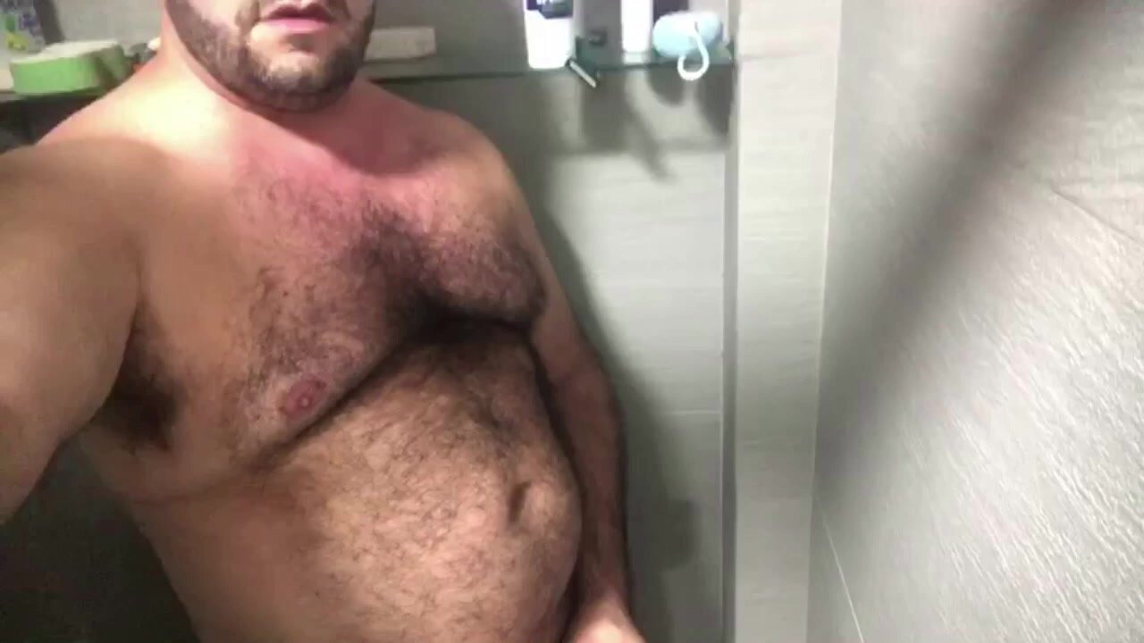 Bear tasting piss
