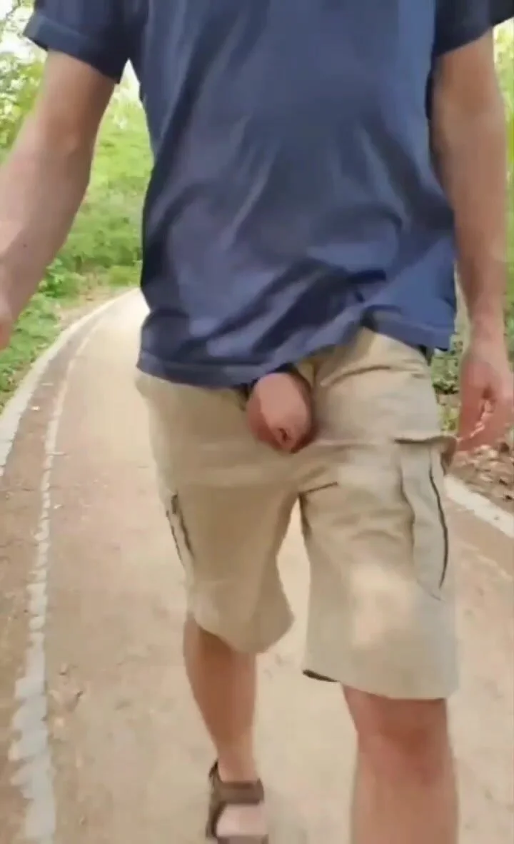 Elephant walk - ThisVid.com en anglais