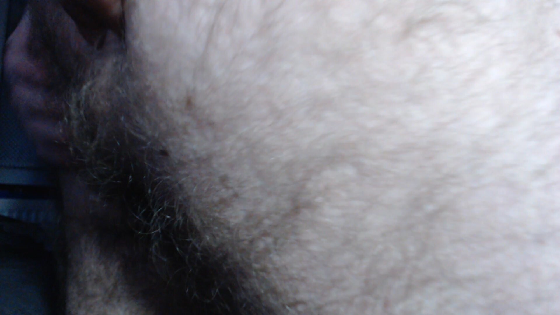 My hairy asshole :)