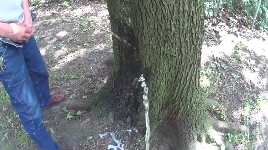 2 friends pissing on a tree