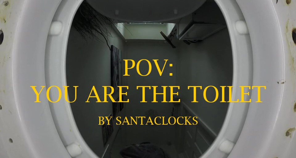 POV: You Are The Toilet (Toilet Scat Compilation)