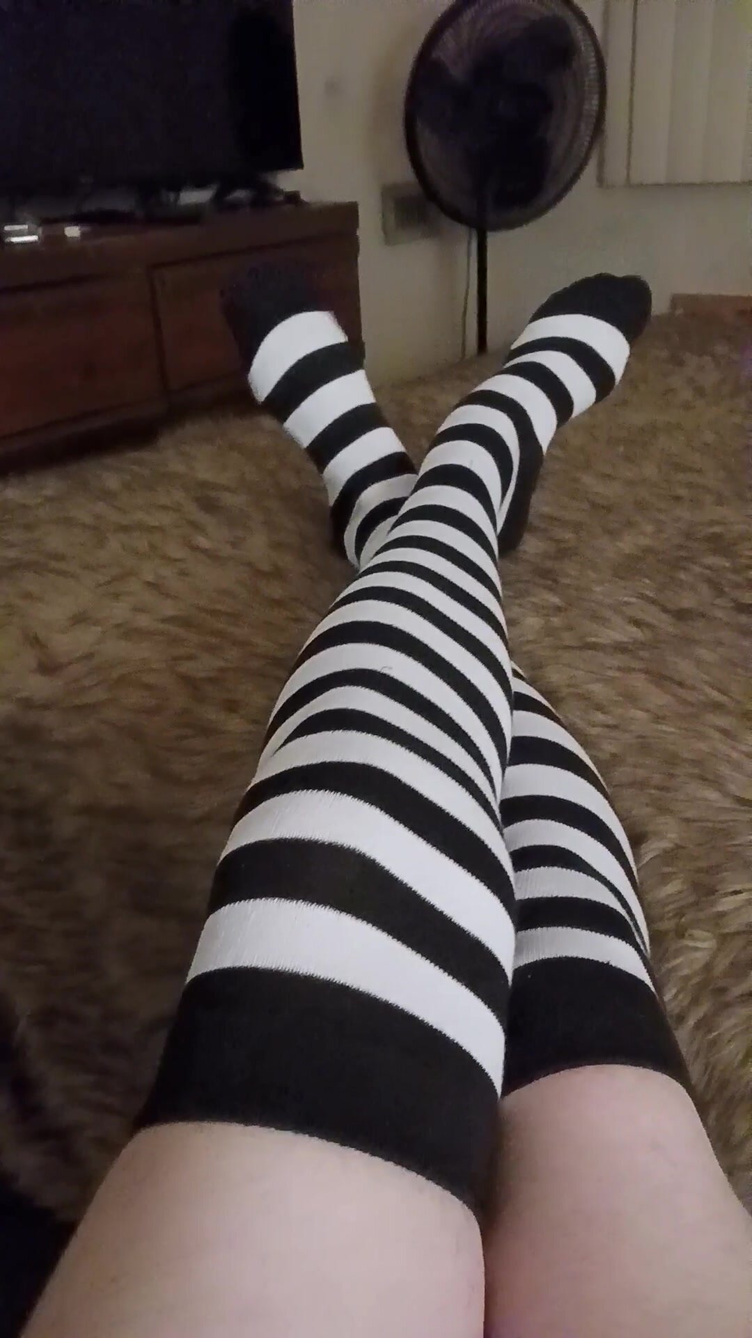 Sexy feet in zebra stockings