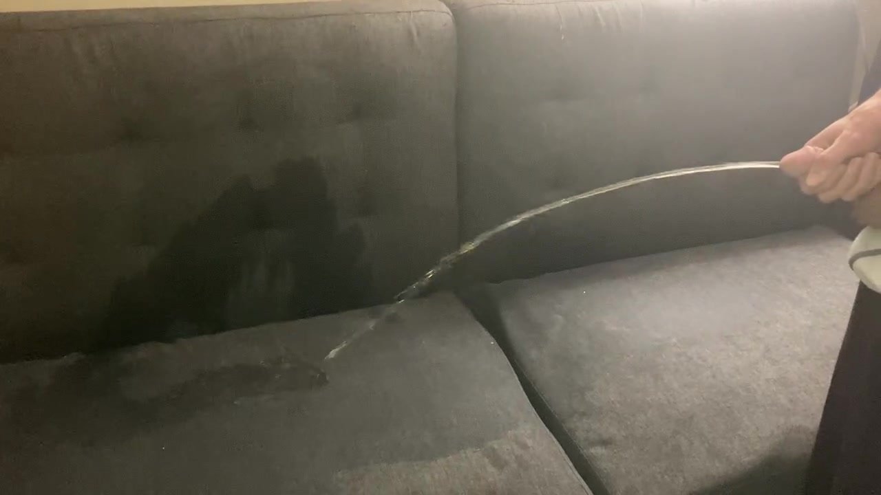 Couch gets sprayed with piss