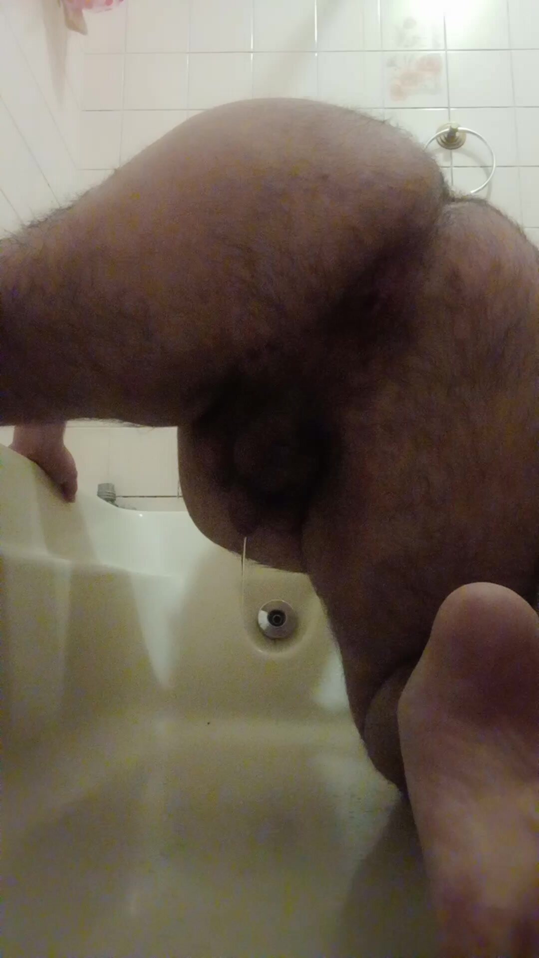 Big bear taking an urgent shit ar bathtub
