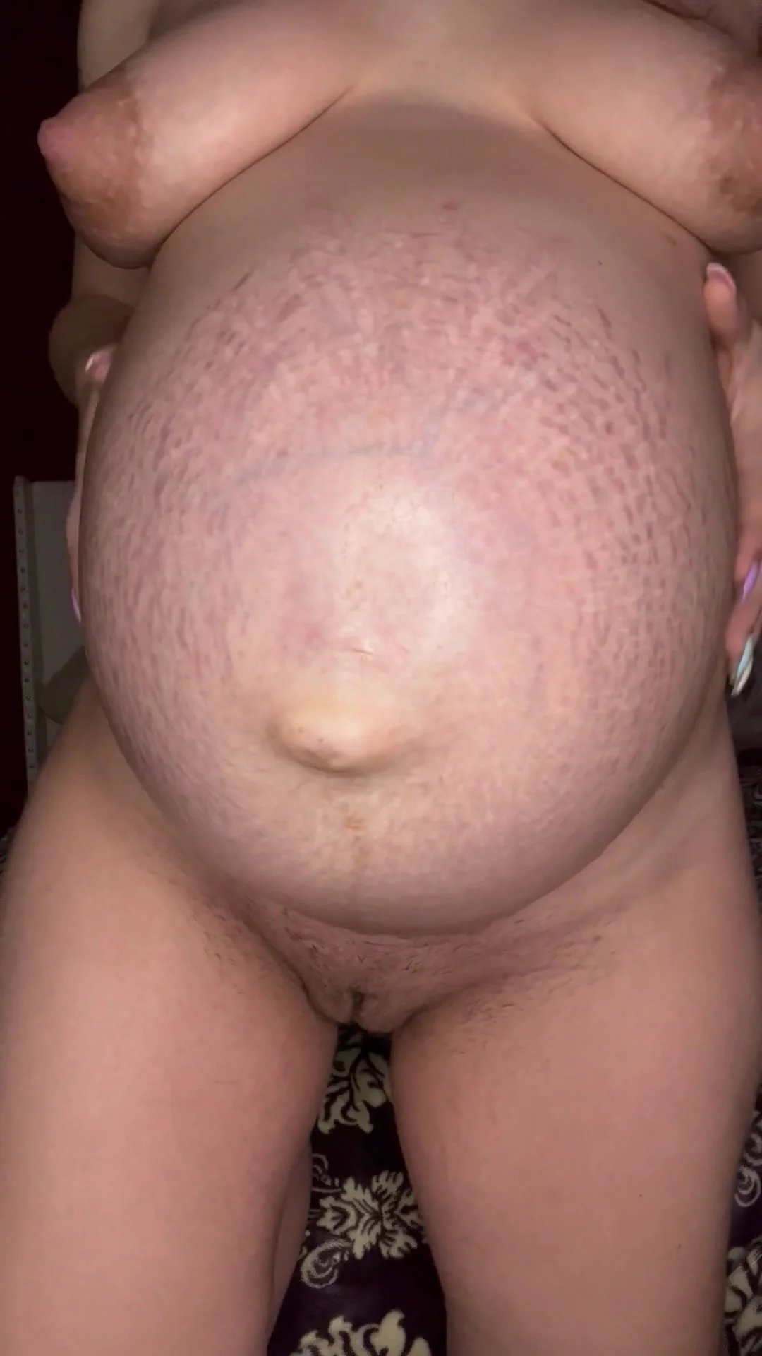 Pregnant cow - video 4 - ThisVid.com en anglais