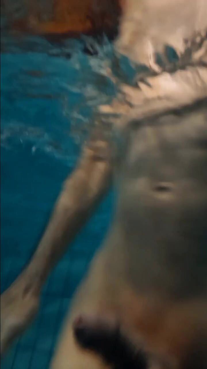 diving in the pool