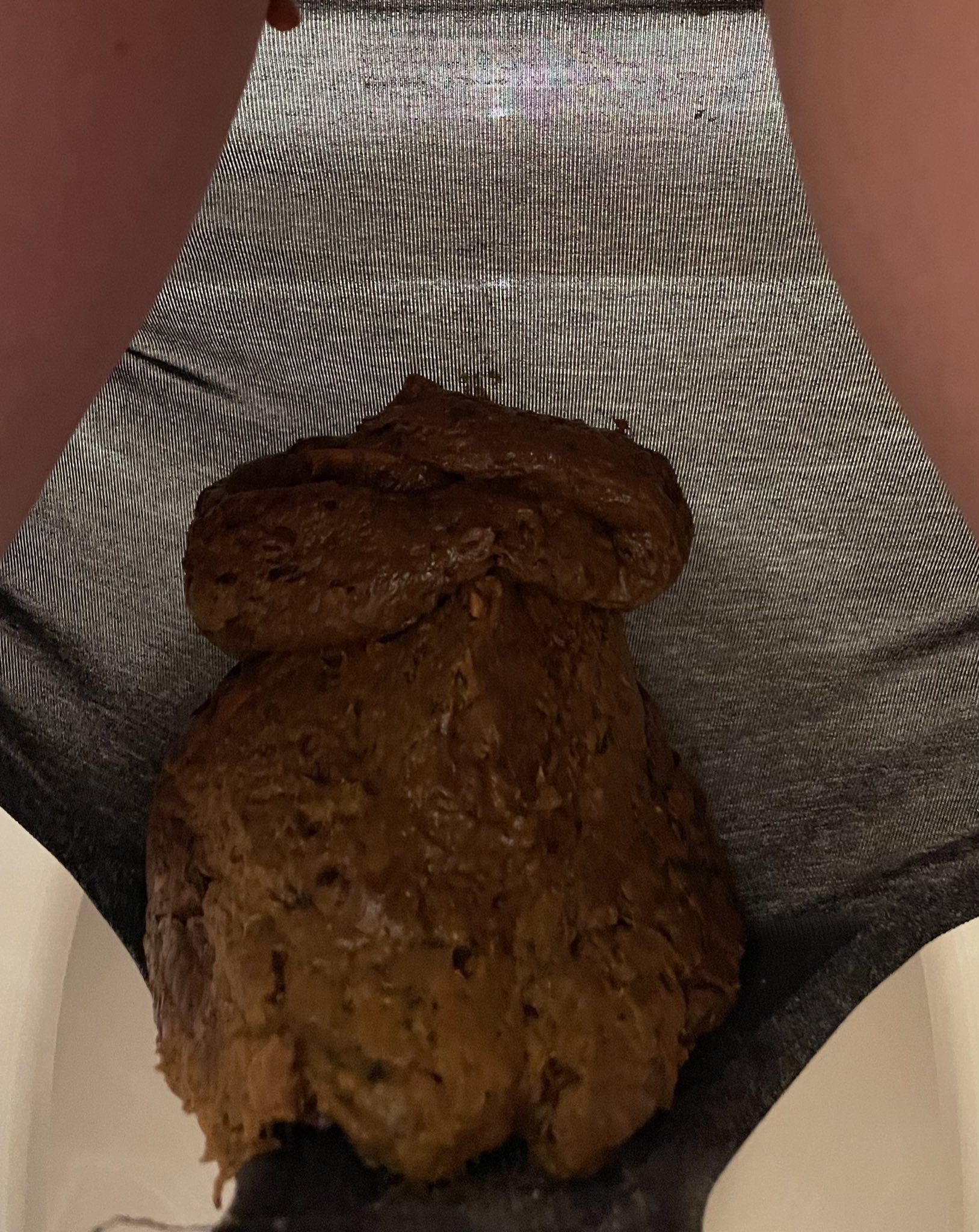 Japanese girl panty poop 9