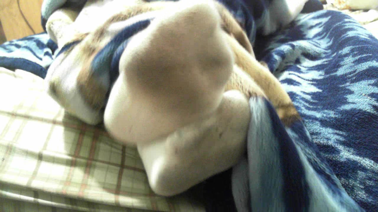 Gay Chubby Foot Tease