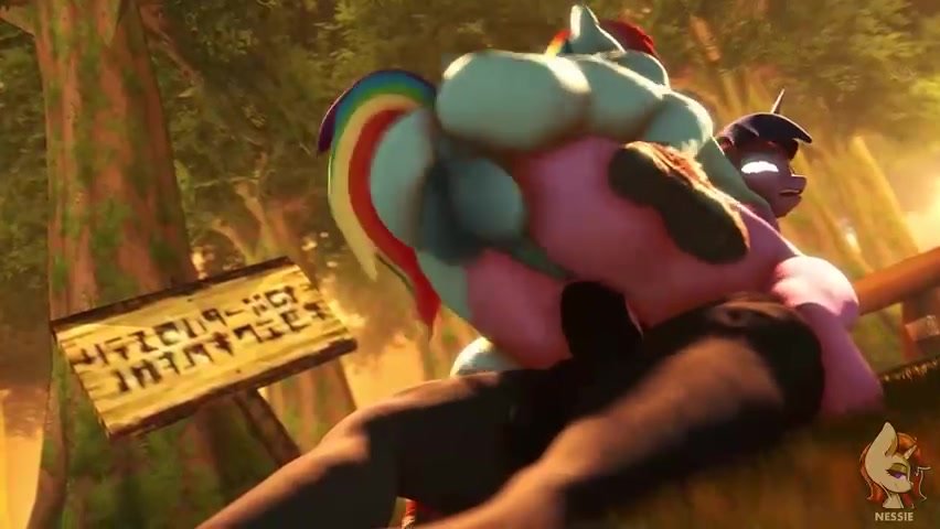 rainbow dash fucks a pony deep in the ass