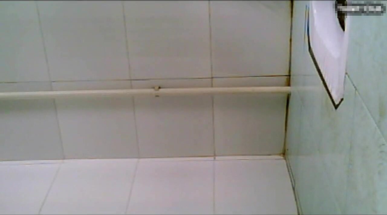 Chinese Ladies Toilet Voyeur - video 314