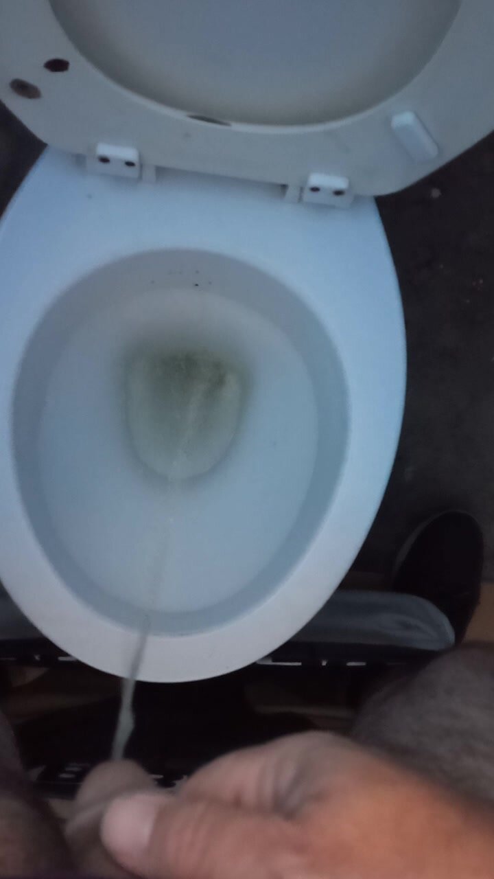 Pissing in a beach restroom toilet