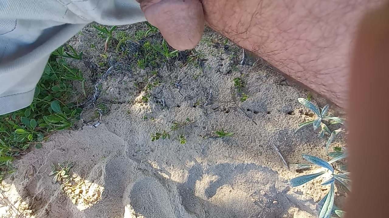 Pissing on a public beach - video 4