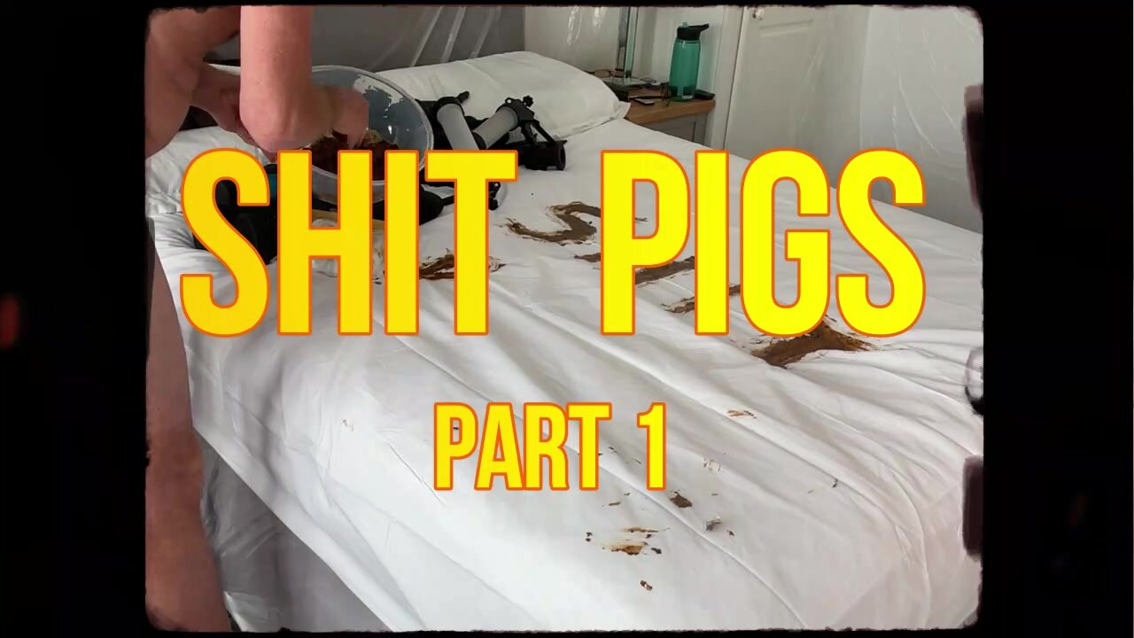 Shit Pigs - Part 1