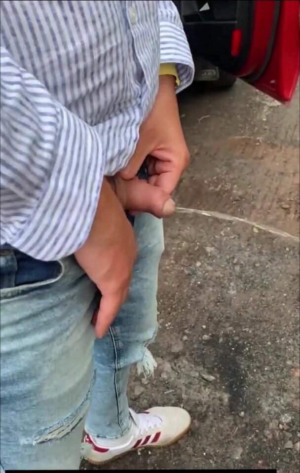 Pissing by the Road II
