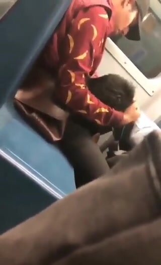 Train (1)