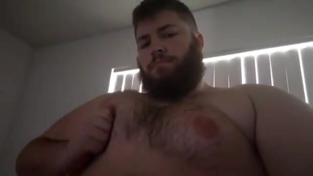 Hairy bear nipple pinching
