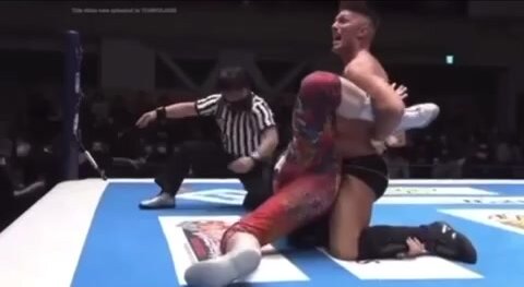 pro wrestling dominant submission