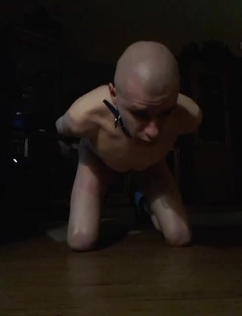 skinhead slave exposed & shows